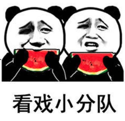 娱乐吃瓜群名称搞笑女,娱乐吃瓜群里的欢乐源泉