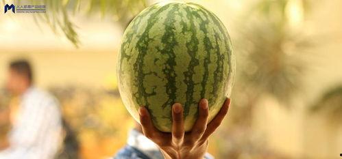 娱乐吃瓜为什么火,揭秘网络现象的火爆之谜